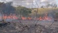 Incêndios avançam sobre lavouras e matas em 38 cidades do interior de SP