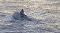 Guarda Costeira dos EUA procura 39 desaparecidos em naufrágio