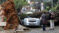 Quase 1,5 mil árvores caíram desde janeiro na cidade de São Paulo