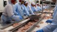 Anvisa proíbe venda de lotes de frango da Perdigão por suspeita de salmonela