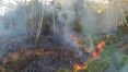 Rede de sensores mede qualidade do ar e revela impactos das queimadas na Amazônia