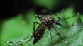 País tem quase 1,3 milhão de casos e 443 mortes por dengue este ano