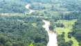 Governo planeja nova estrada no meio da Amazônia
