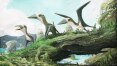 Cientistas descobrem fóssil de mini-pterossauro no Canadá