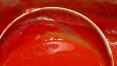 Anvisa proíbe lote de molho de tomate com pedaços da marca Heinz