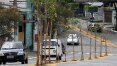 Prefeitura de SP planta árvores no asfalto para livrar calçadas e fios