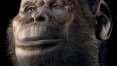 Brasileiro reconstrói em 3D os rostos de 15 espécies de hominídeos