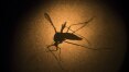 250 cidades paulistas estão em situação de alerta ou risco para dengue, zika e chikungunya