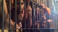 Lei de drogas superlotou presídios, aponta Human Rights Watch