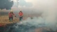 Incêndio destrói mais de 12 mil m² de floresta próxima a Brasília