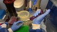 Farmacêutica francesa espera testar vacina contra zika em um ano