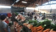 Cenoura tem maior queda no preço em maio; cebola é a que mais subiu