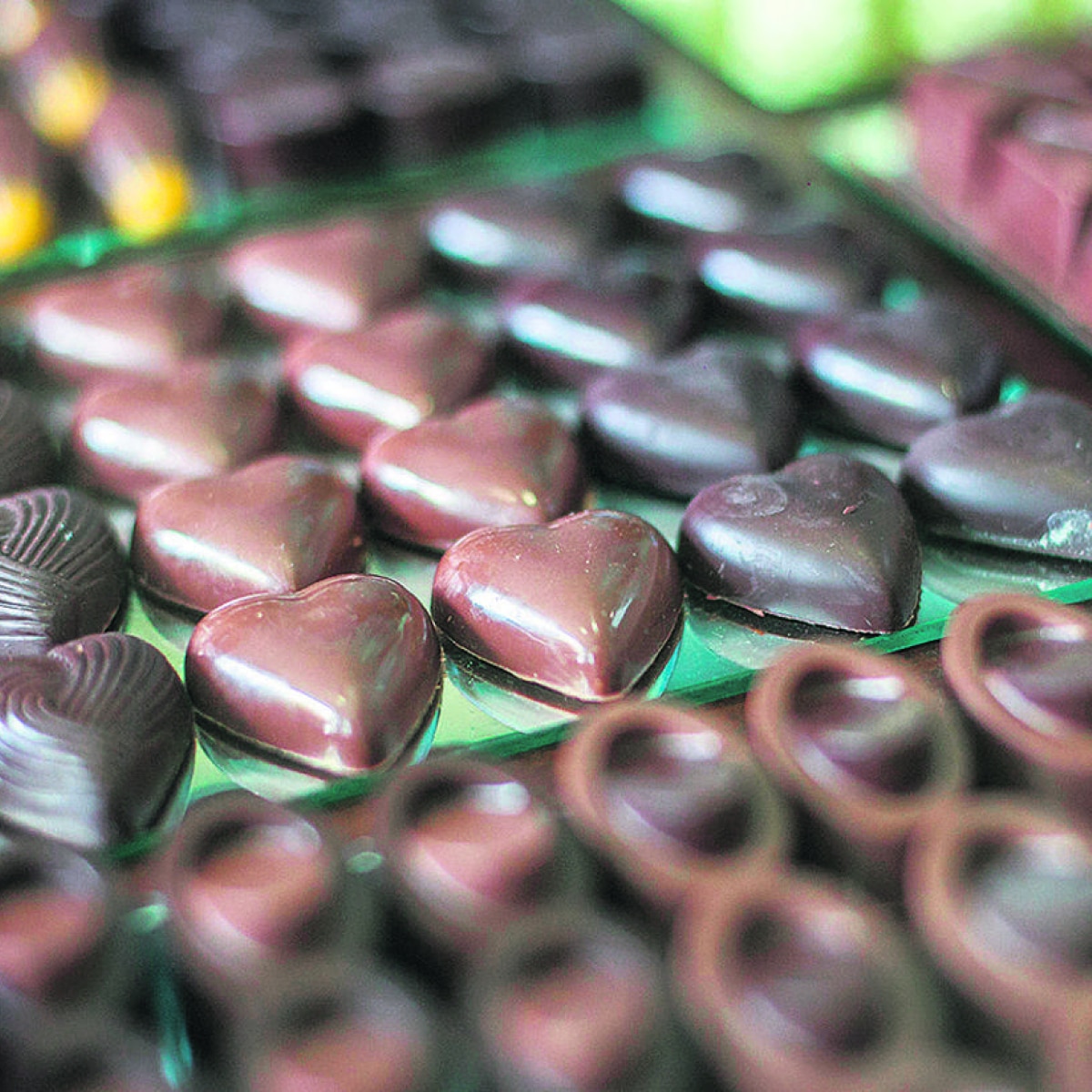 Onde comprar chocolates na Costa do Cacau, na Bahia
