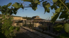 O Domaine de Long Dai, pertencente à Domaines Barons de Rothschild (Lafite), ocupa 75 acres na província de Shandong. A empresa lançou sua primeira safra produzida inteiramente na China. Foto: Giulia Marchi para The New York Times