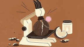 Ilustração de Gracia Lam/The New York Times