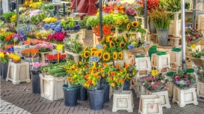 Loja de flores alegra e colore a rua. Foto: Pixabay