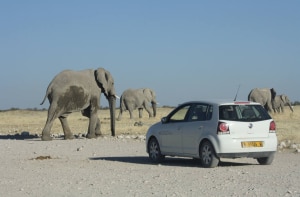 De carro, fomos da África do Sul à Namíbia em clima de 'hakuna matata'