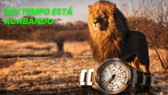 Seu Dinheiro