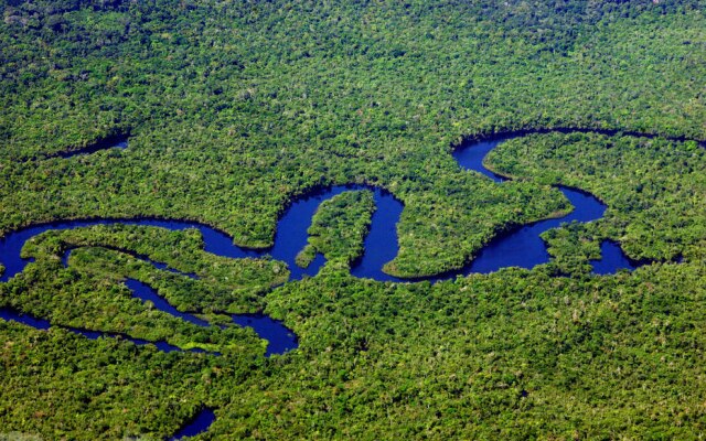 Amazônia virou alvo de rede de desinformação 