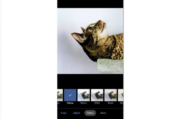 As ferramentas de edição e filtros no aplicativo de fotos do seu telefone podem ajudar a limpar a imagem e dar aos seus retratos uma aparência artística