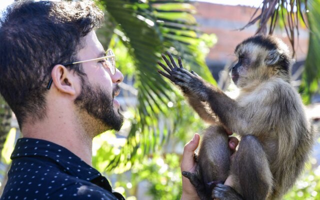 Conhecido no TikTok, Davi é o macaco-preto de Rafael Monteiro Cruz
