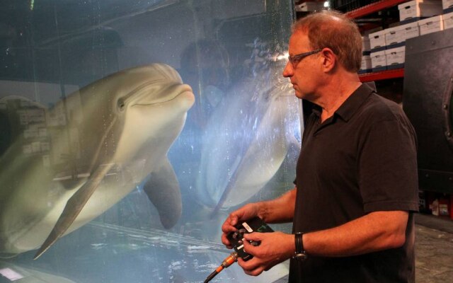 Walt Conti, fundador e presidente da Edge Innovations, acredita que deus golfinhos-robôs podem ajudar a salvar animais de verdade do cativeiro