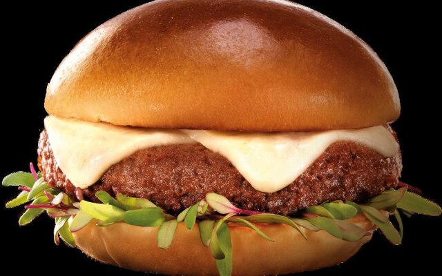 Incrível Burger, da Seara: bandeja com dois discos chegará ao mercado por R$ 17