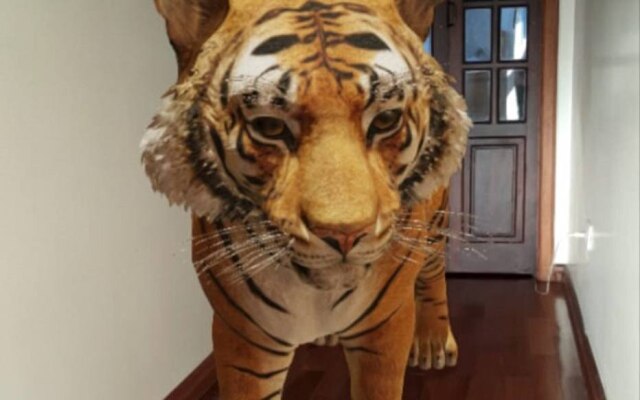 O tigre é um dos animais que podem ser visualizados em 3D e em realidade aumentada pelo aplicativo de pesquisas do Google no celular.