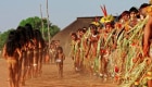 Só 1,6% da perda vegetal no Brasil desde 1985 foi em terras indígenas, diz estudo