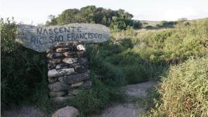 Cobras marinhas, um estranho animal ausente do Atlântico - Mar Sem Fim