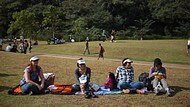 O que fazer na Vila Guilherme