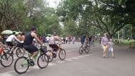 No parque