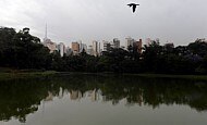 Tudo começa no parque