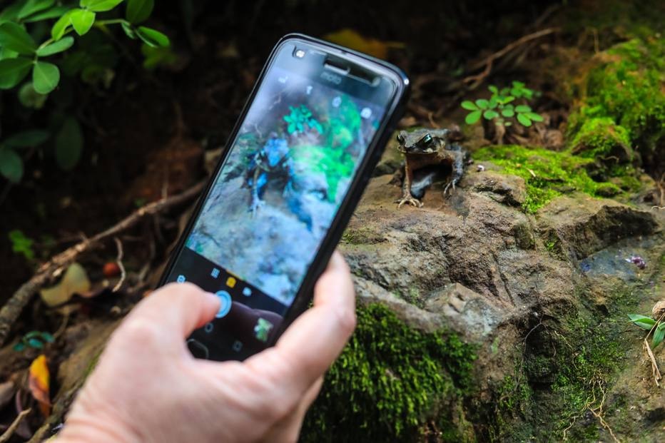 Moradores de sete capitais brasileiras são convidados a participar do Desafio Natureza nas Cidades