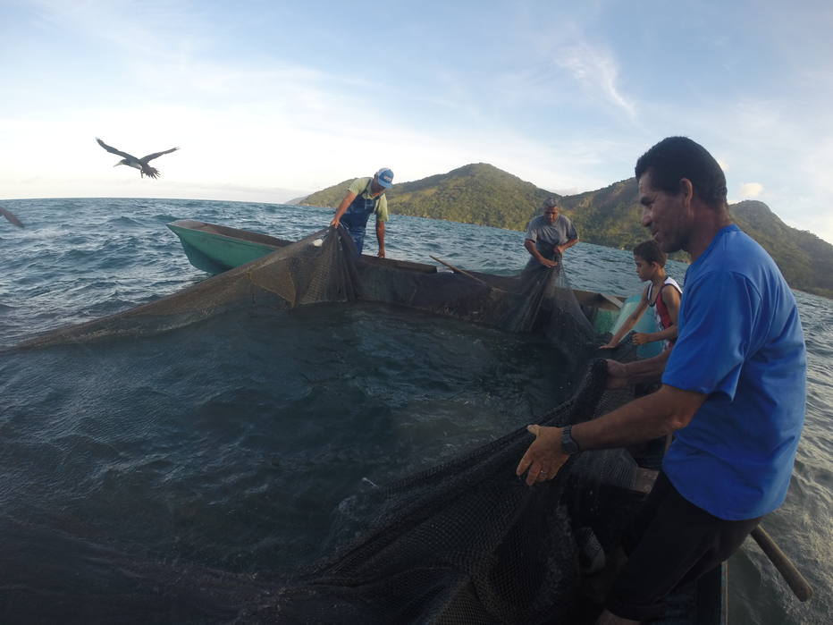 Além do seguro-desemprego, programa Verde Amarelo também taxa benefício a pescadores artesanais