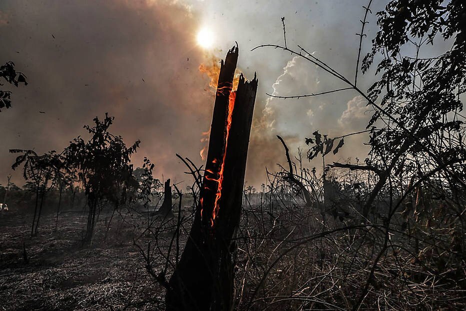 Queimadas na Amazônia quase triplicam em agosto, em relação a 2018, e superam média histórica