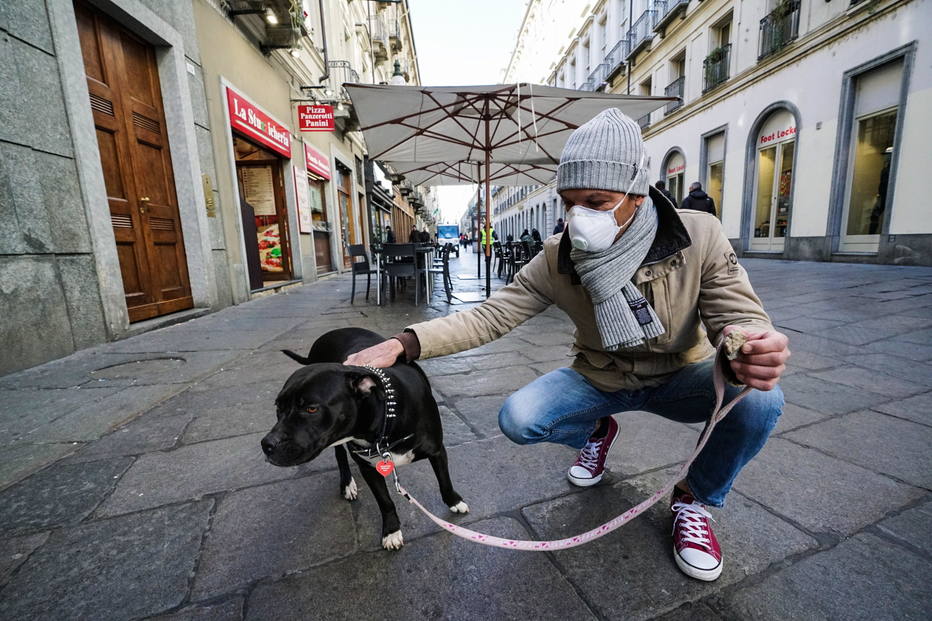 coronavírus cachorro