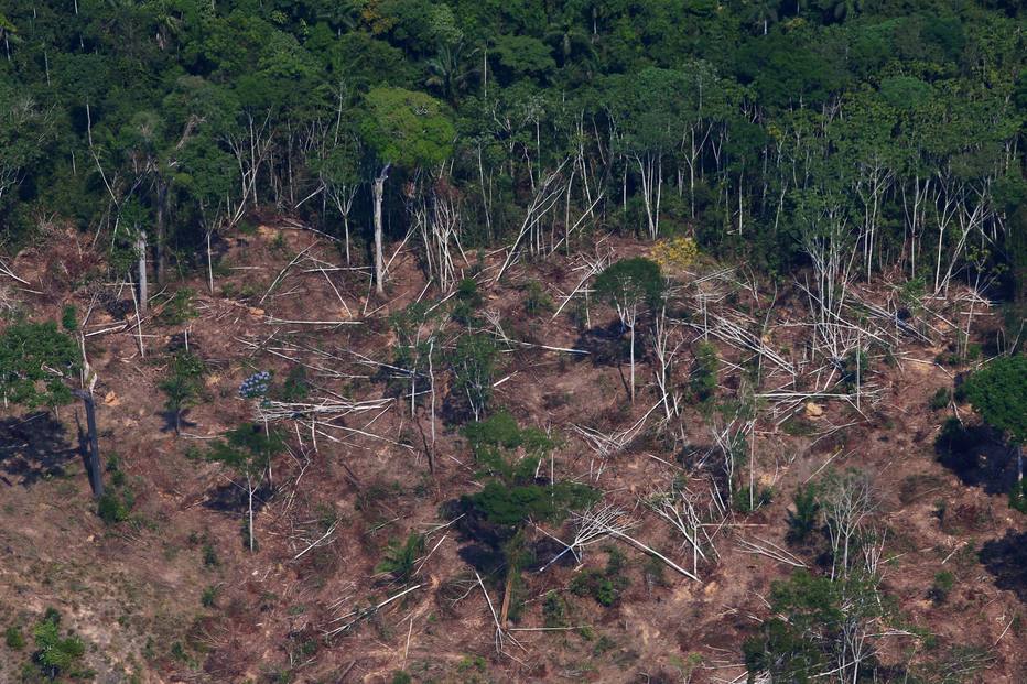 Brasil tem 70 milhões de hectares de florestas em propriedades rurais sob ameaça de desmatamento