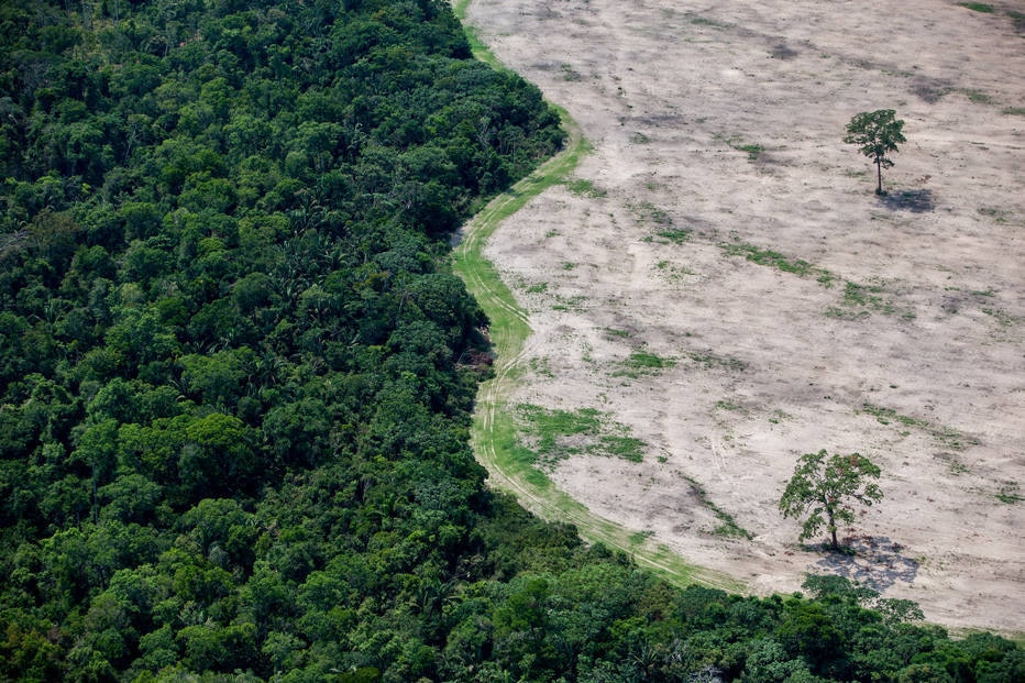 Alertas do Inpe indicam alta de 40% em desmate na Amazônia; governo contesta