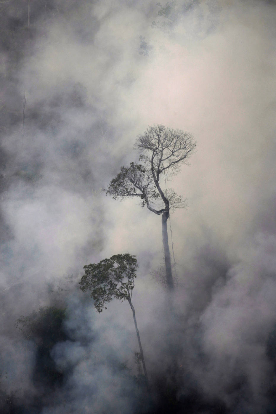 Com Exército há um mês na Amazônia, queimada diminui e desmate aumenta