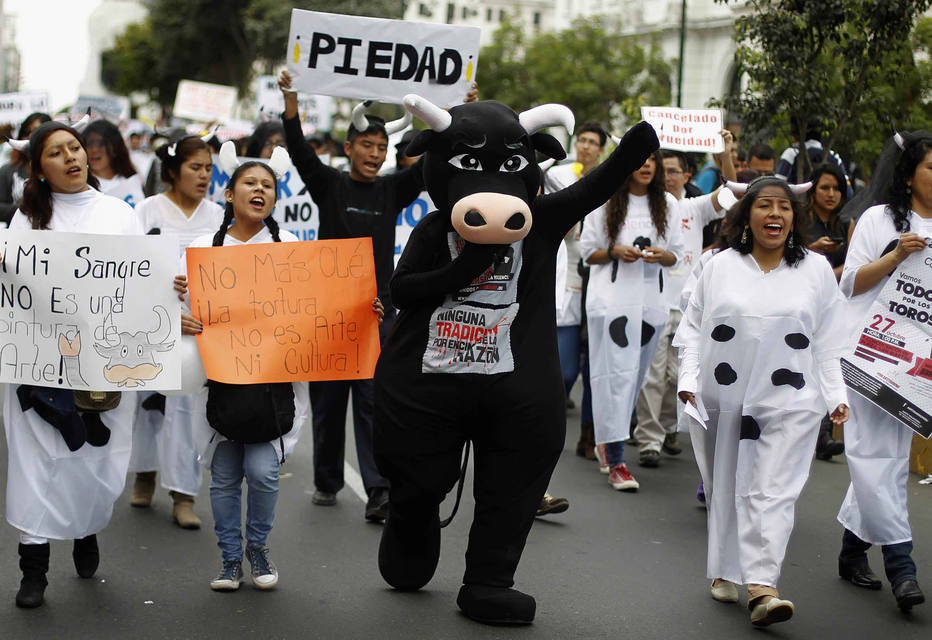 ctv-o8g-demonstrators-wearing-fake