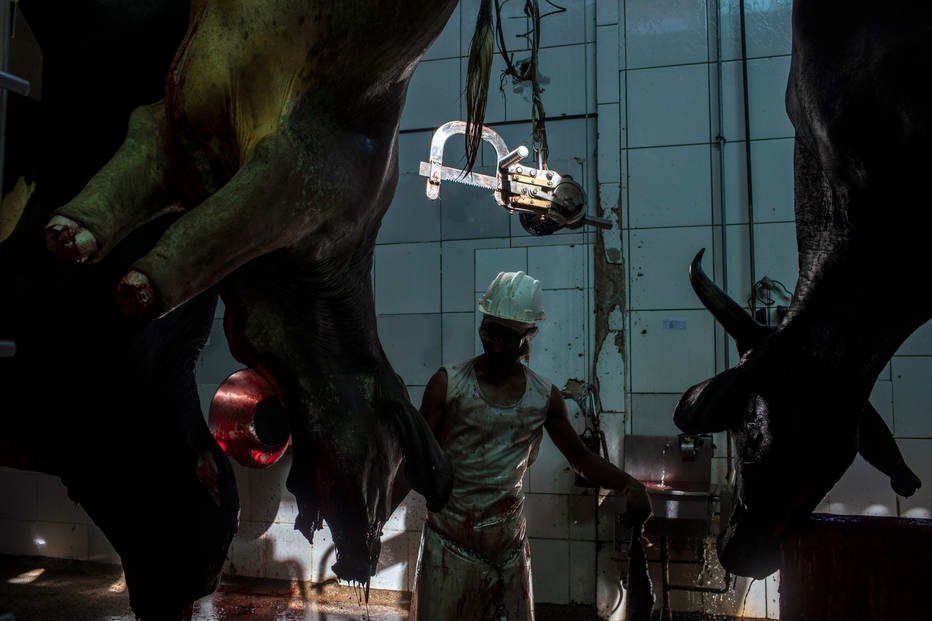 Desmatamento Amazônia