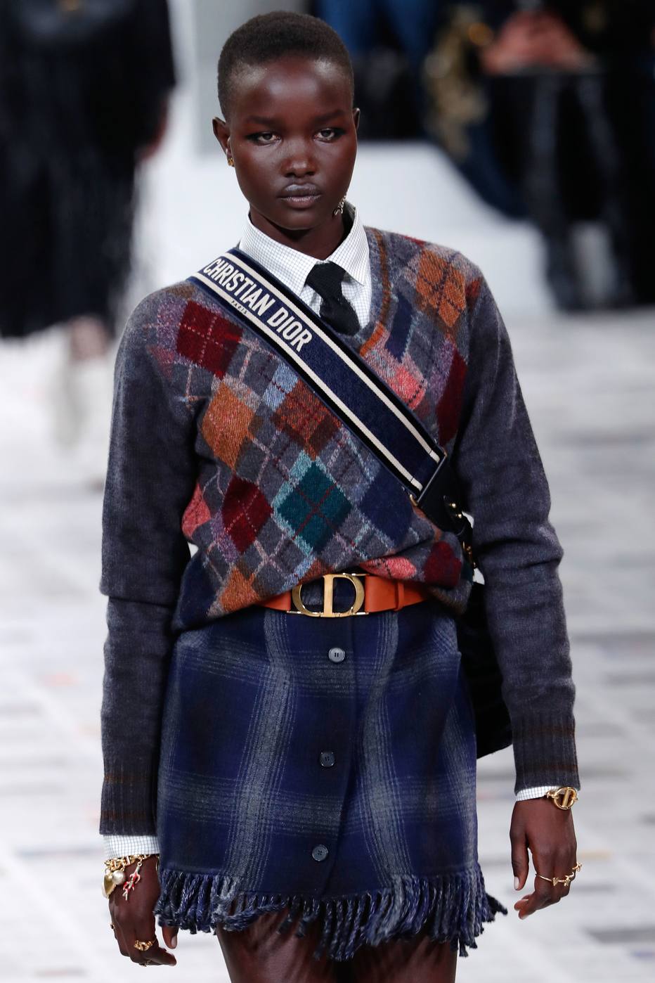 Desfile Dior