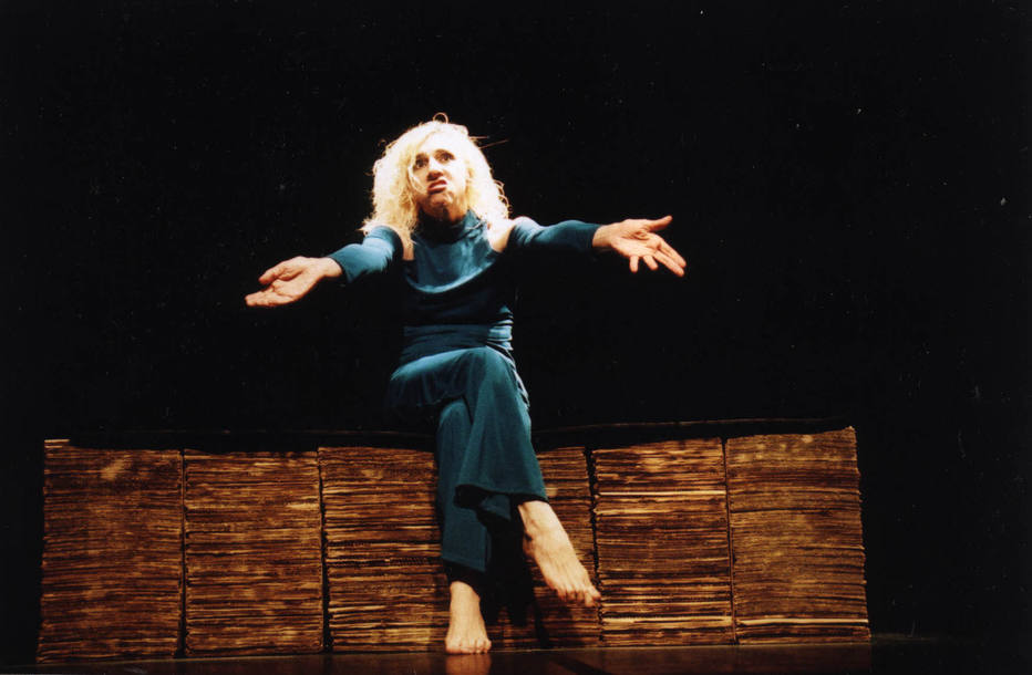 Denise Stoklos Cultura Estadão