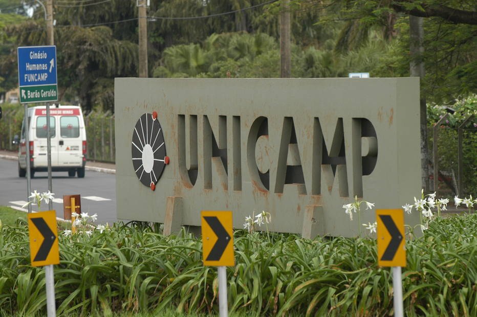 Unicamp 2018 A Figura Anterior Destaca Um Dominio