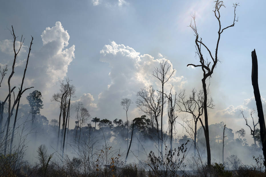 Desmatamento explode na Amazônia e já é quase dobro do ano anterior