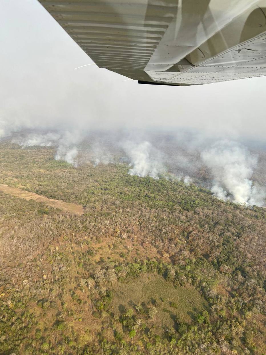 Área do Pantanal atingida por incêndios pode demorar até 50 anos para se regenerar, diz especialista