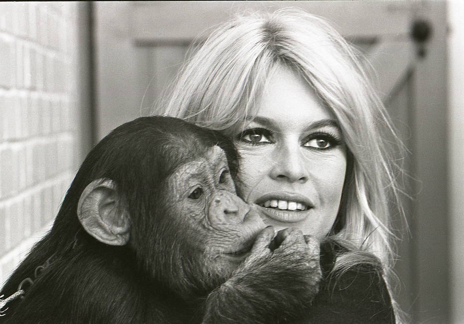 Brigitte Bardot