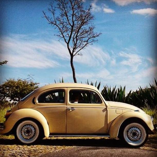 20 anos sem Fusca: leitores mostram sua paixão em fotos