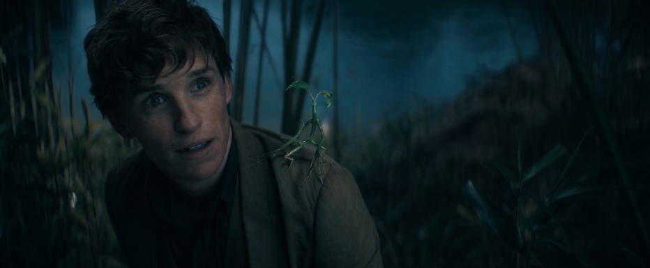 Eddie Redmayne